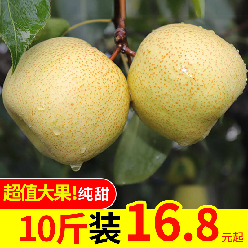 共352 件小酥梨相关商品
