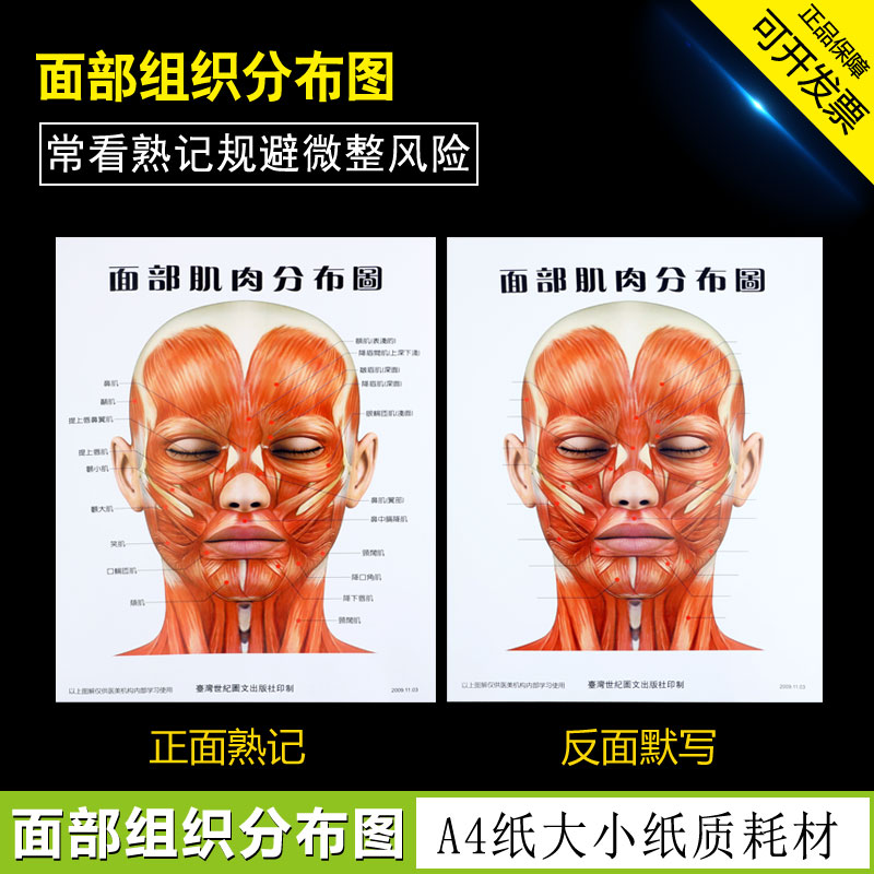 面部神经血管肌肉分布图三张一套美容整形研究参考挂图从业参考图