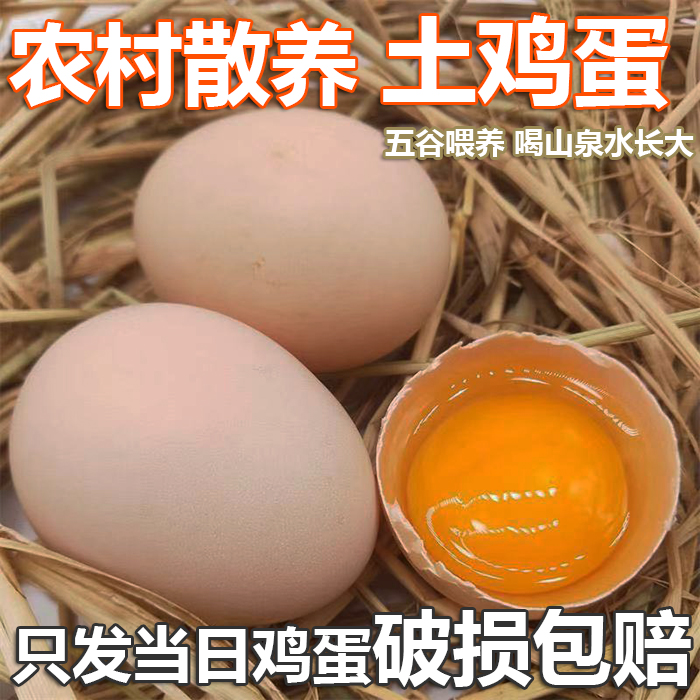 正宗散养农家土鸡蛋30枚 农村山泉水喂养笨鸡蛋 天然新鲜鸡蛋