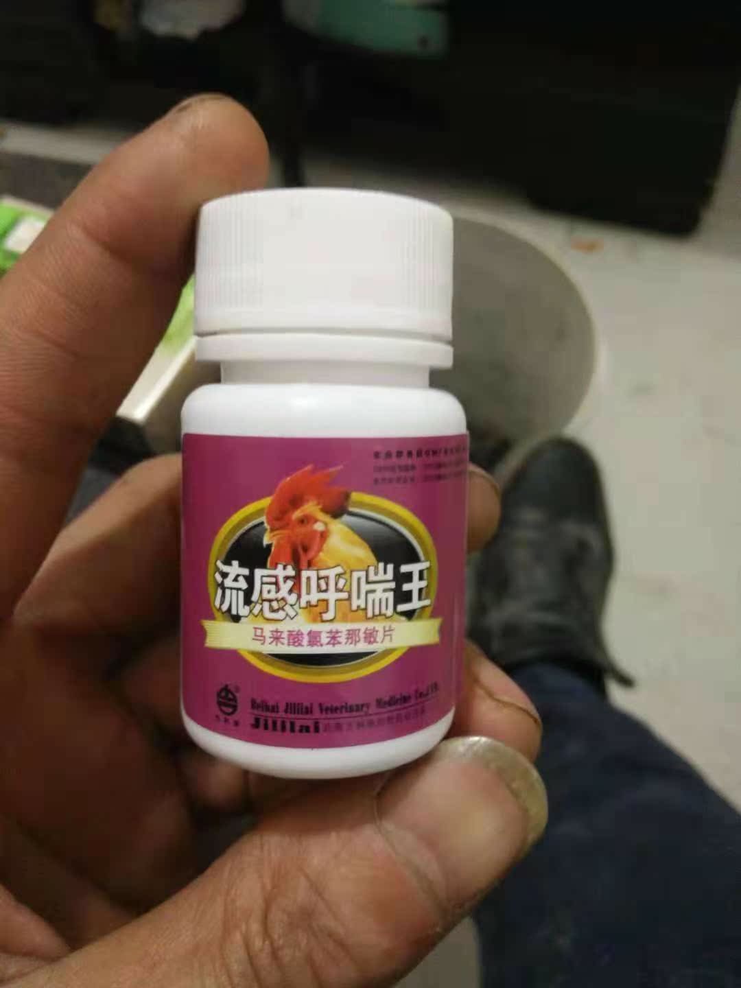 鸡鸭鹅鸽子鹦鹉药 鸡药片 流感呼喘王 马来酸氯苯那敏片