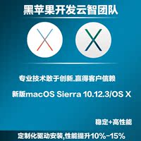 MacOS Sierra OSX 苹果系统安装U盘安装盘 全
