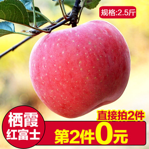 新鲜红富士苹果水果山东烟台栖霞红富士脆甜苹果新鲜包邮2.5斤苹果水果