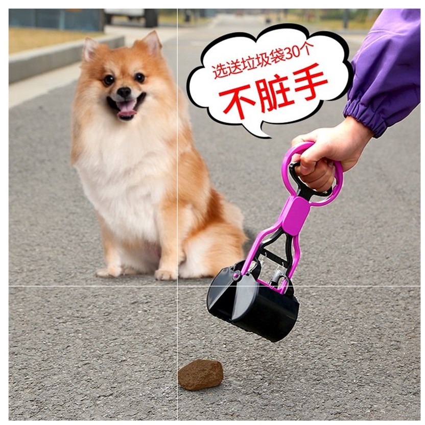 共365 件溜狗神器相关商品