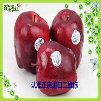 哈尔滨新鲜水果 精品有机黄心蜜柚黄金蜜柚子