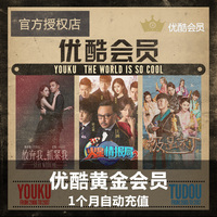 VIP黄金会员-奇艺会员12个月1年年费VIP一年