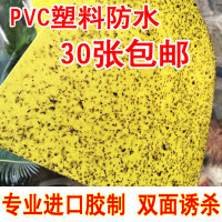 部落板黄板双面pvc捕虫板诱虫板捉虫板杀视频老最新v部落恋粘虫图片