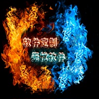 软件定制 软件开发定做 程序代写修改 辅助软件