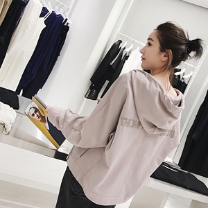 小宜定制YESWOMEN刺绣卫衣女连帽2017春季新款开衫韩版潮宽松bf卫衣
