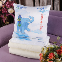 中国太平-国太平】境外旅行险 东南亚泰国美亚