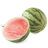 正宗海南麒麟瓜 18斤礼盒装 海南精品西瓜 新鲜