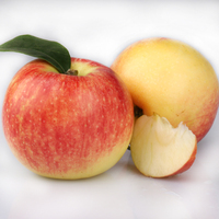 临猗嘎啦苹果-摘8斤山西临猗新鲜早熟红富士嘎